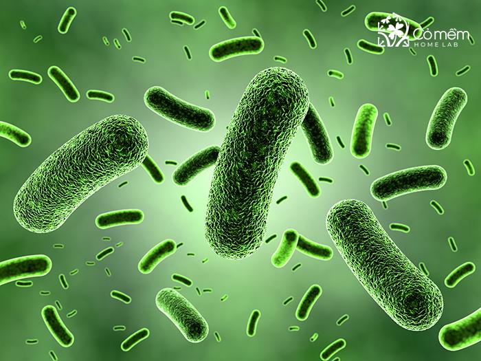 Vi khuẩn là gốc rễ của mùi hôi khó chịu trên nách