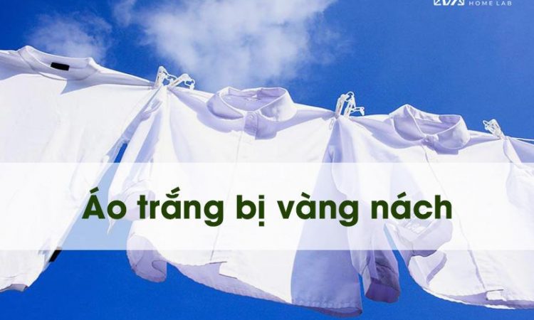 Áo trắng bị vàng nách